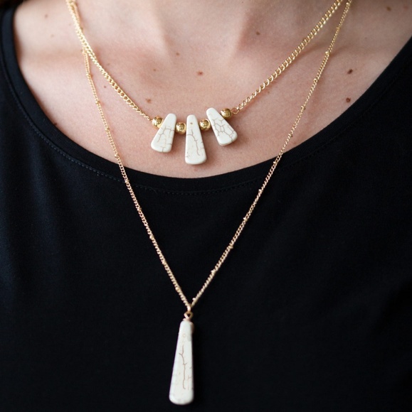 Basic Groundwork - Picture 2 of 3